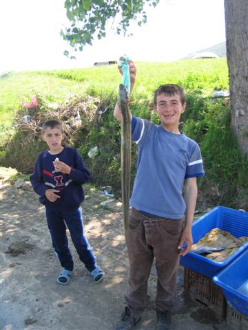 Jongen biedt vis te koop aan