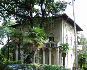 Villa Deneš met palmboom ervoor